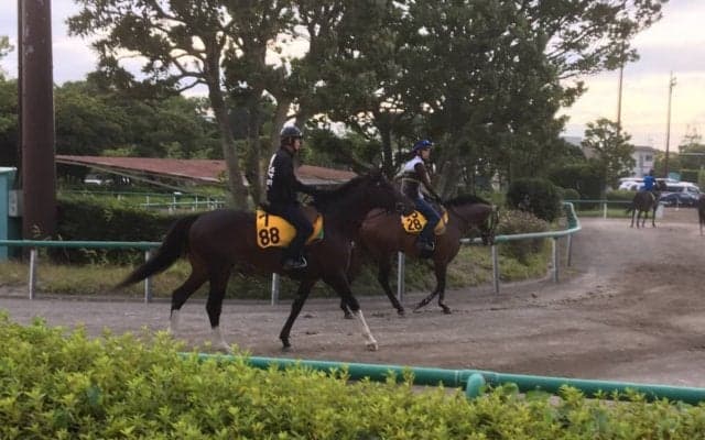 【七夕賞】サーブルオール 関東のエース格