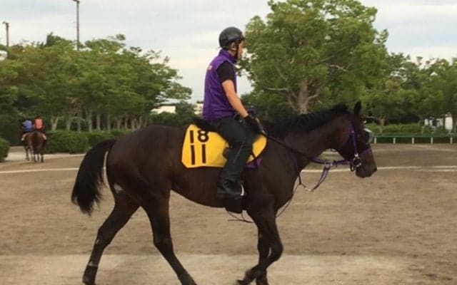 【七夕賞】マイネルサージュ ハンデ戦ならチャンス十分