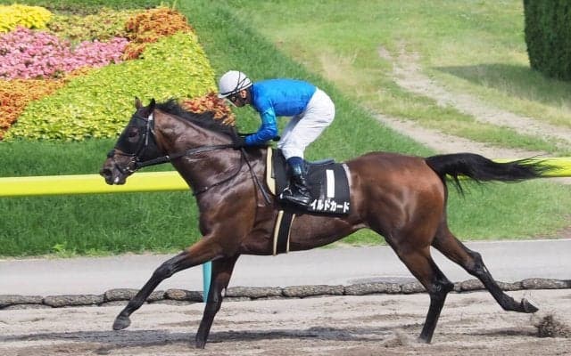 【福島10R/天の川賞】ダートの新星現る！？ワイルドカードが圧巻の逃げ切り！