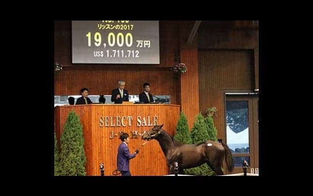 落札総額は過去最高も、今年のセレクトセールは高額馬戦線に異常あり！
