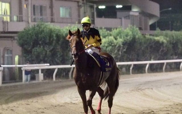 【JDダービー】武豊「脚が上がってしまった」2番人気ドンフォルティス6着敗退