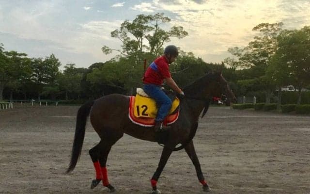 【バーデンバーデンC】アイライン 少頭数歓迎で終いの脚を生かす