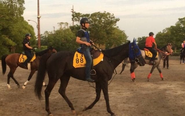 【バーデンバーデンC】ノットフォーマル軽量50キロで有利