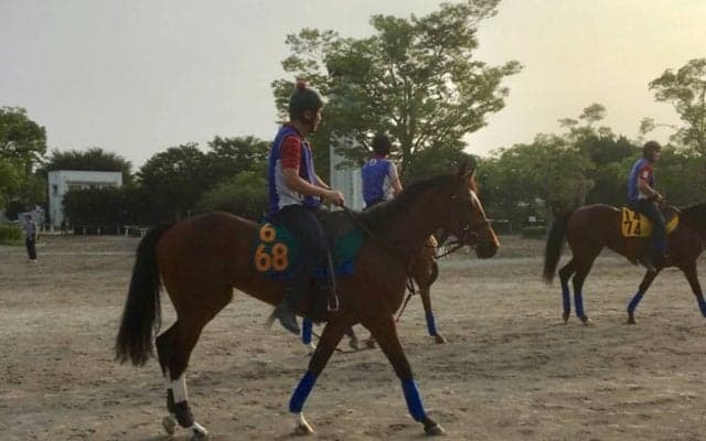 【注目新馬】マジックリアリズム