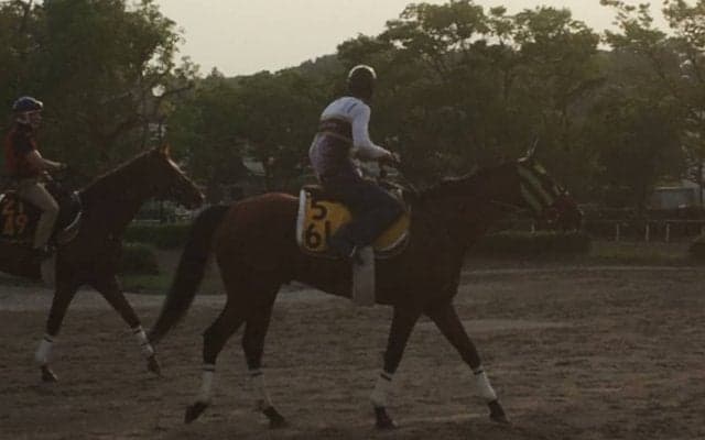 【中京記念】グレーターロンドン 暑さを凌ぎ初重賞制覇へ