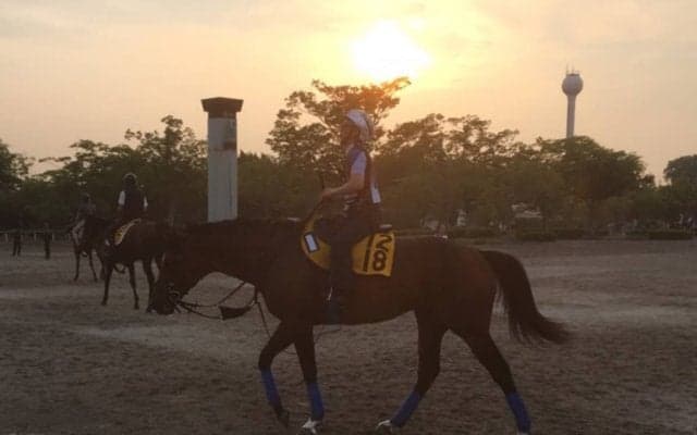 【福島テレビオープン】テオドール 小回り対応カギ