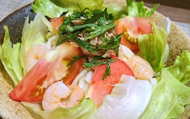 サラダうどんで暑い季節はつるっと乗り切ろう