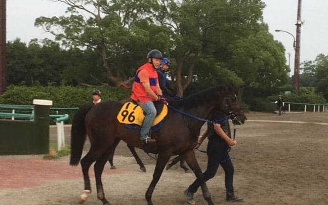 【中京記念】マイネルアウラート高橋裕師「冬場が得意なタイプだけど…」