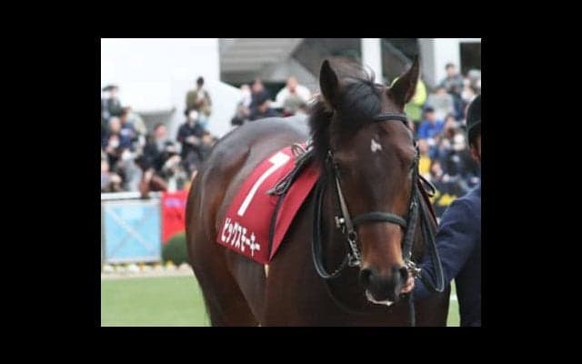 穴党記者が耳打ち。１番人気が強いレパードＳでも高配当狙える３頭