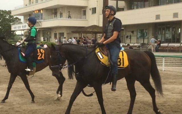 【アイビスSD】芝レース初参戦が千直