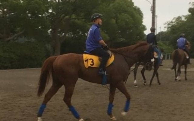 【アイビスSD】アペルトゥーラ 国枝師「この条件があっている」