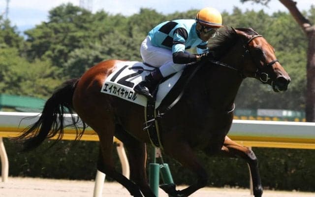 【新潟5R/2歳新馬】ロードカナロア産駒 エイカイキャロルが抜け出し快勝！