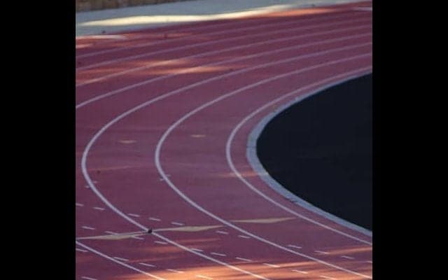 KDDI、スポーツデータマネジメントサービスを提供するユーフォリアに出資