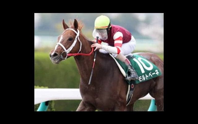 情報通だから抽出できる３頭。エルムＳも好調・穴党記者におまかせ！