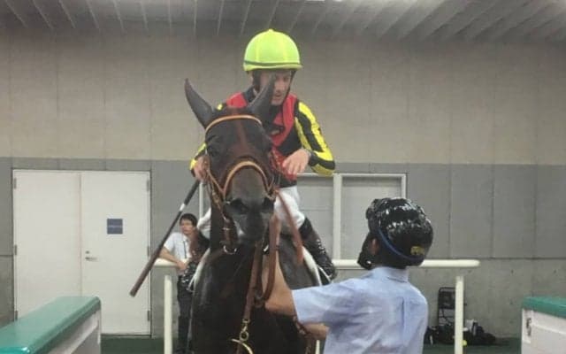 土曜新潟１Ｒ・２歳未勝利はミディオーサが１番人気にこたえる
