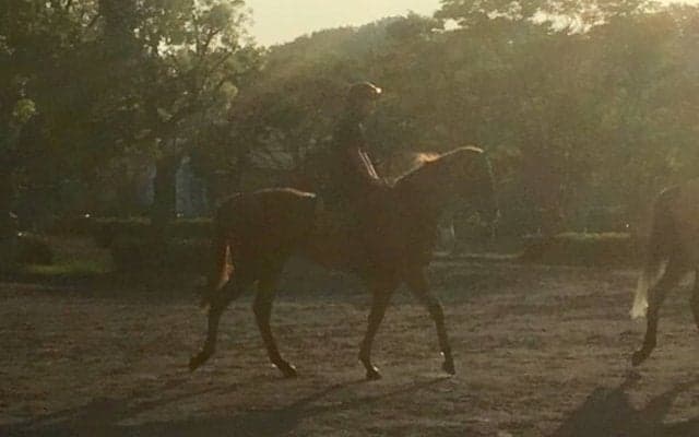 【注目新馬】ユナカイト アーモンドアイ半妹がデビュー