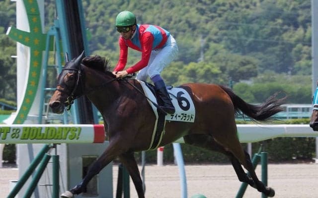 【小倉6R/2歳新馬】武豊ディーブラッドが鋭い末脚で差し切りV！
