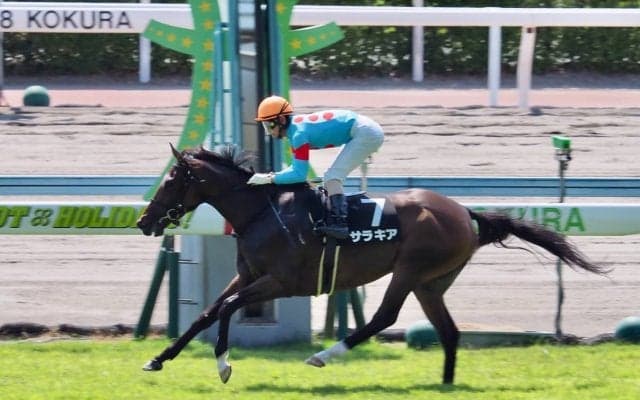 【小倉9R/青島特別】圧倒的人気サラキアがレコードV！初の古馬対戦も物ともせず