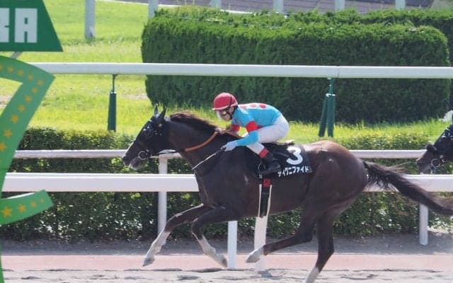 【小倉10R/天草特別】ディグニファイドが4角先頭から押し切る