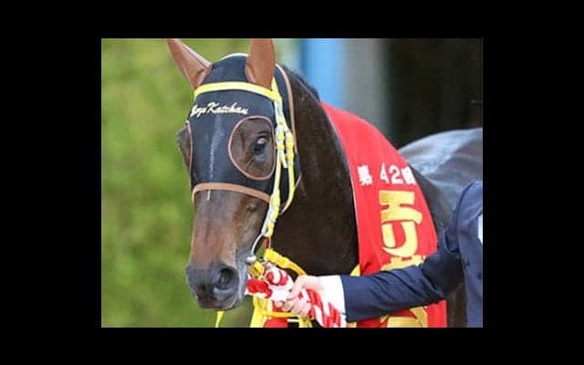 マカヒキもマサカと驚く可能性。札幌記念は4歳の牡牝２頭に勝算あり