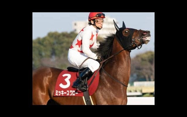 札幌記念は３頭のハナ争いに注目も、鼻高々になっちゃうのは別の馬