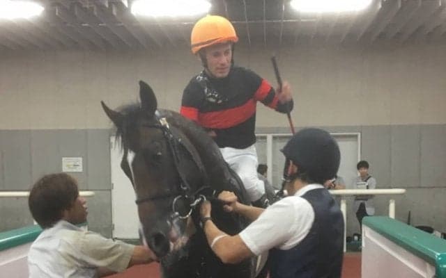 土曜新潟５Ｒ新馬はホウオウサーベルが１番人気にこたえる