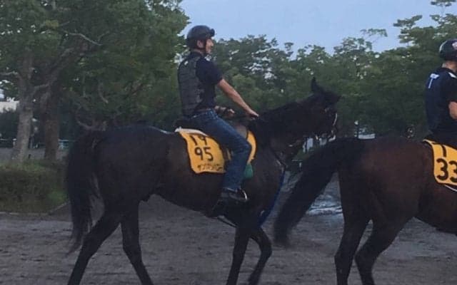 【関屋記念】ヤングマンパワー 関屋記念巧者で復活習う