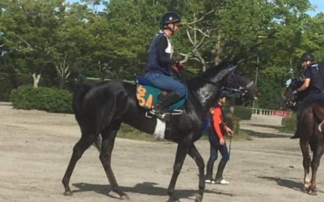 【注目新馬】ブラックタイド産駒プロスペリティ 