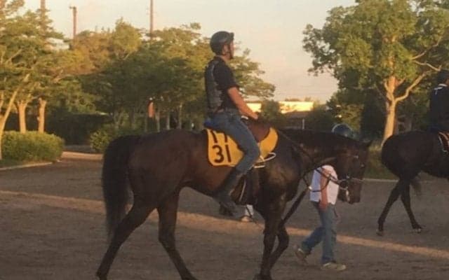 【NST賞】ベストマッチョ 実績のあるダートで巻き返し