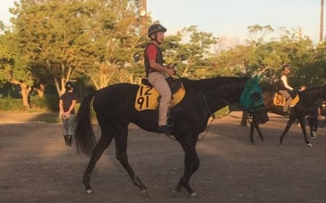 【NST賞】ドリームドルチェ 得意の新潟で期待高まる