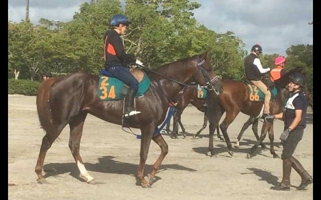 【新潟２歳Ｓ】アンブロークン 手塚師「良い動き」