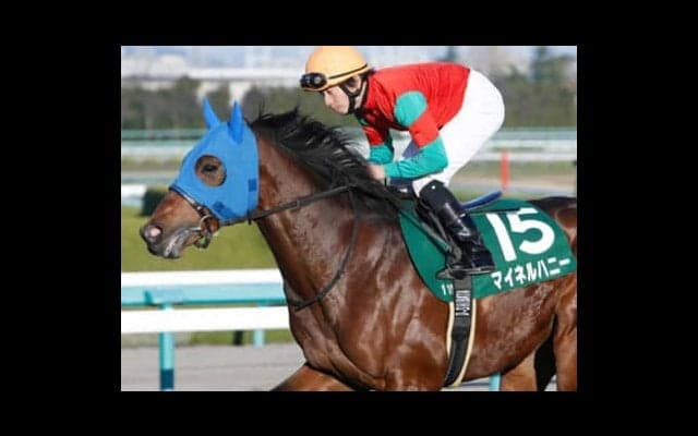 新潟記念は、荒れ馬場得意の「穴馬」に勝利の女神が優しく味方する