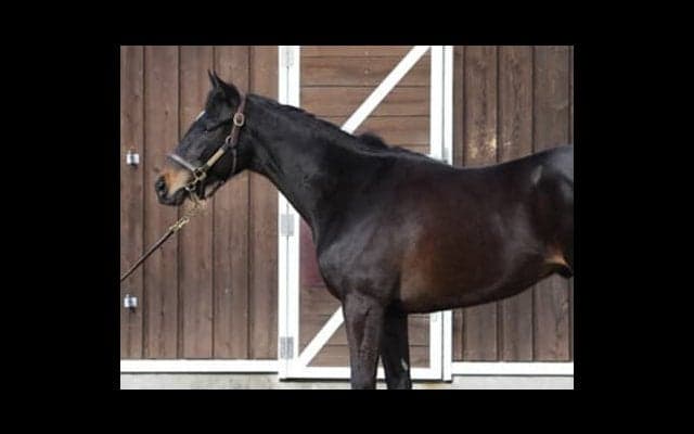 確かな実力を秘めたリスト。不運に泣かされた兄たちの無念を晴らすか