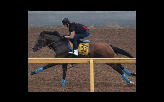 京成杯オータムＨは「差し馬」に妙あり。牡５歳が名誉を挽回する