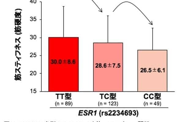 スポーツ選手の肉離れなどの筋損傷リスクに関連する遺伝要因を解明…順天堂大学