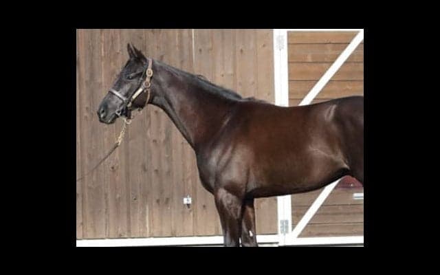 「背中が抜群」のフランクリン。繁栄する一族から新たなスター誕生か