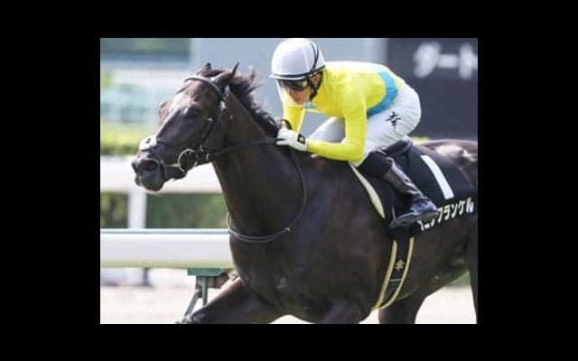 セントライト記念は、春のクラシック未出走の上がり馬３頭に春が来る