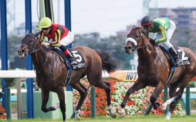 【中山9R/白井特別】圧倒的人気フローレスマジックが完勝