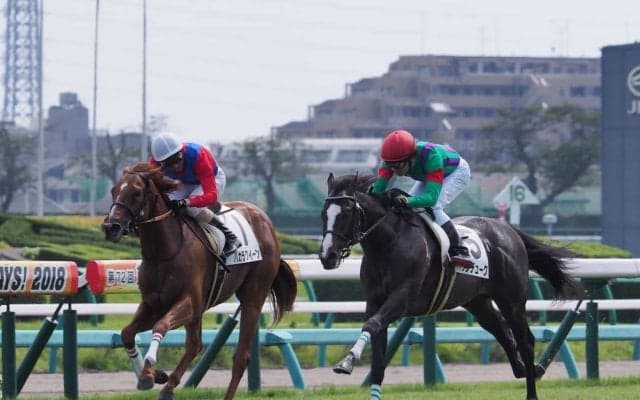 【中山5R/2歳新馬】ノヴェリスト産駒 ケンデュークがデビューVを飾る