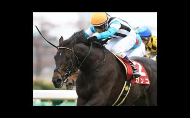 ２強が注目されるオールカマー。休み明けの人気薄３頭が下克上を成す