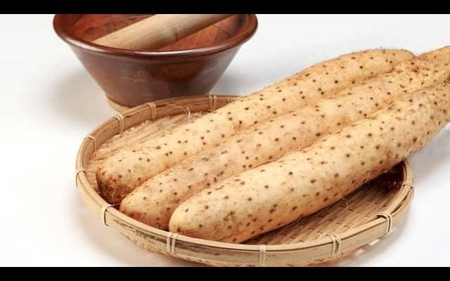 じゃがいもやさつまいもとは違う！ 種類豊富な「やまのいも類」