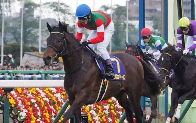 【神戸新聞杯】エポカドーロ 藤原英師「現状の力を出せれば」