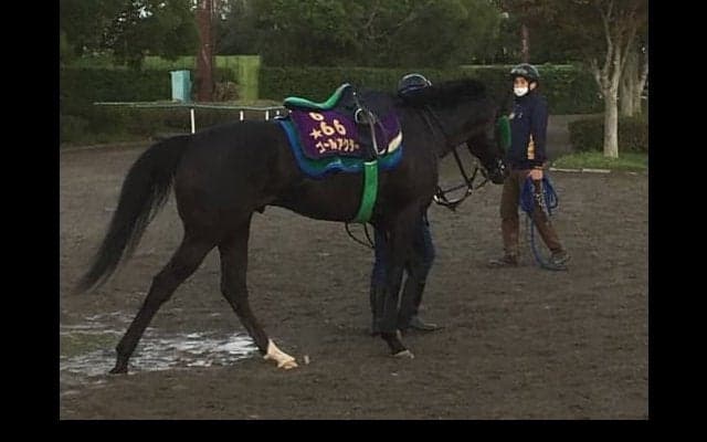 【オールカマー】ゴールドアクター 中川師「気持ちの部分」