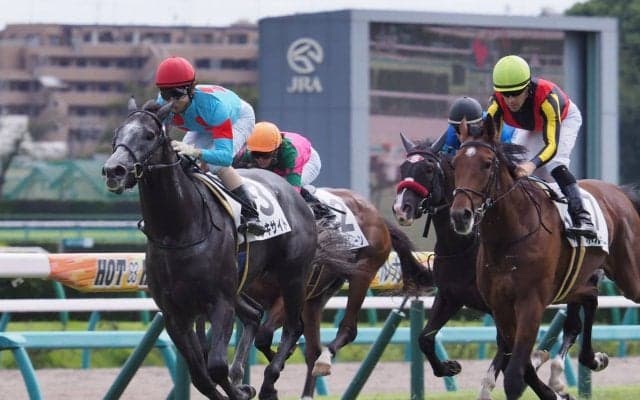 【中山5R/2歳新馬】ブラックタイド産駒 ウレキサイトがデビュー勝ち