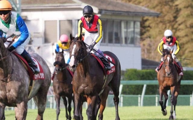 【オールカマー】武豊「今日はゲートの中でもうるさかった」ダンビュライト辛うじて3着に飛び込む
