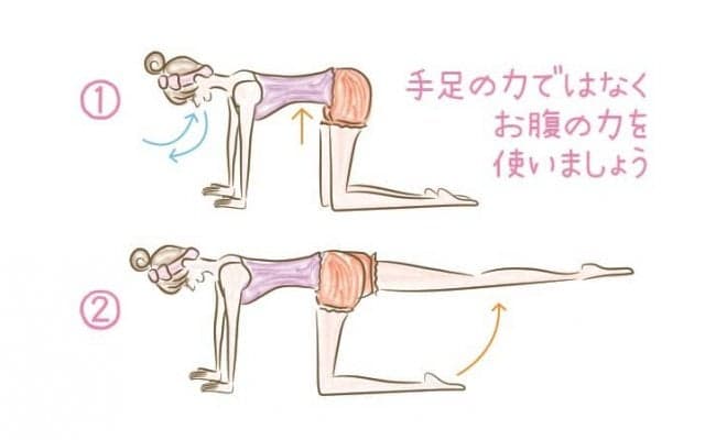 お腹引き締めエクササイズ