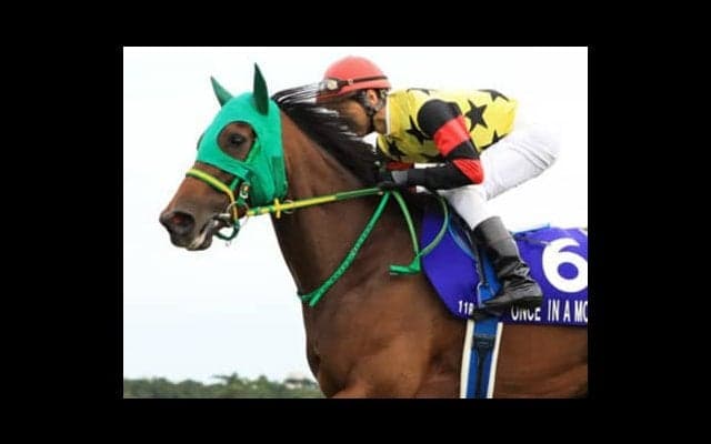 穴党記者が密かに漏らした「隠し玉」３頭がスプリンターズＳで化ける