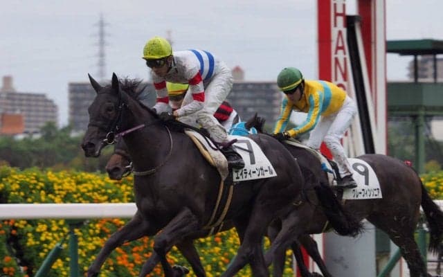 【阪神3R/2歳未勝利】武豊4000勝へあと2！エイティーンガール差し切り