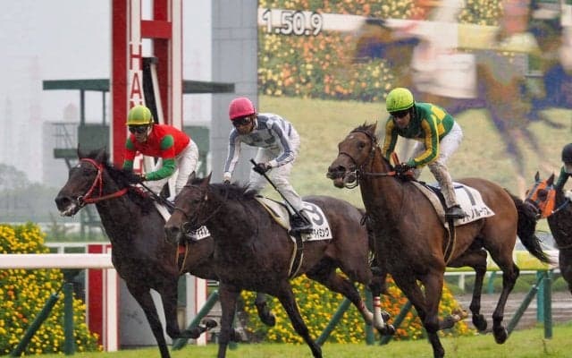 【阪神5R/2歳新馬】憲武で大手！武豊ゴータイミング勝利で4000勝にあと1つ