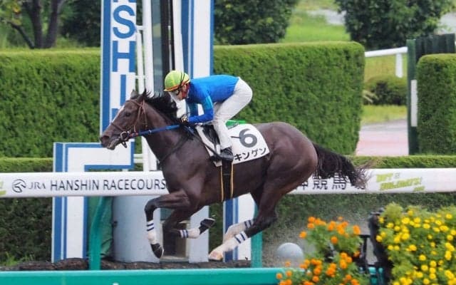 【阪神6R/2歳新馬】ゴールドアリュール産駒 キンゲンが快勝